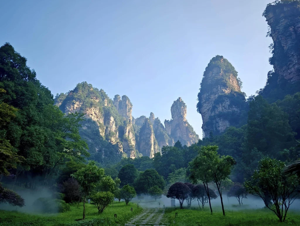 waktu terbaik ke zhangjiajie di musim panas dengan hutan hijau dan pemandangan pilar batu pasir