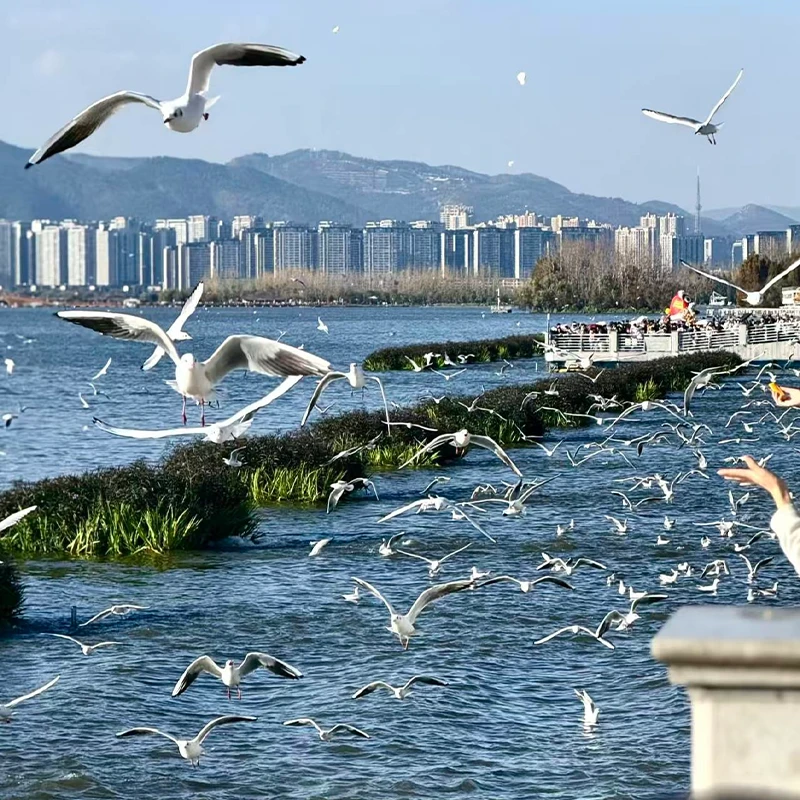 Tepi Danau Dianchi di Taman Haigeng, Kunming