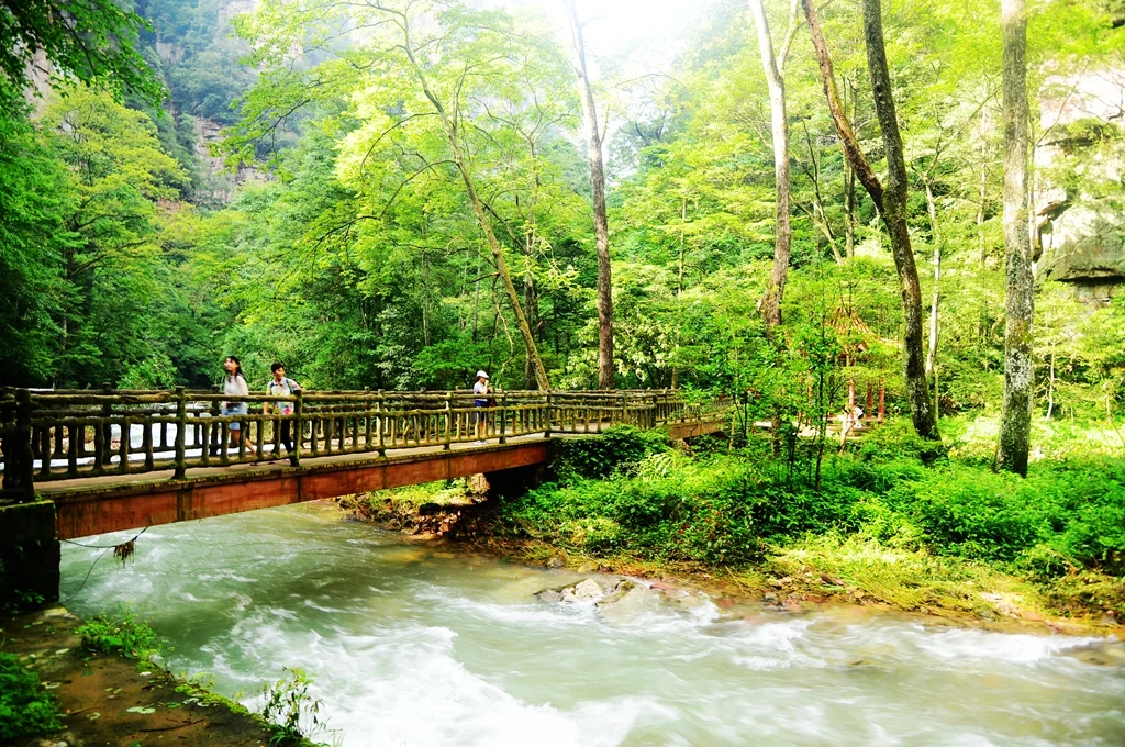 Jalur hutan Sungai Golden Whip di Zhangjiajie