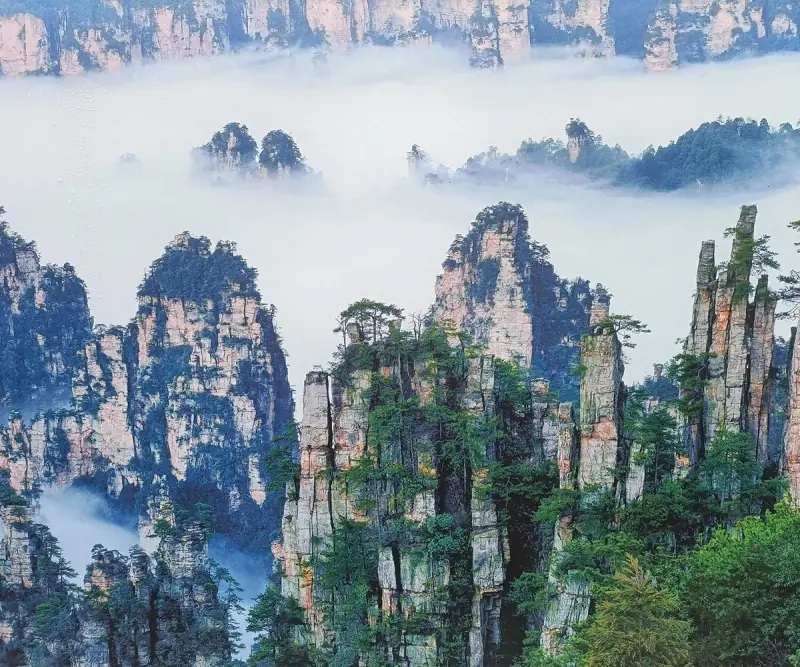 Pilar batu pasir berselimut kabut dan puncak berhutan di Zhangjiajie