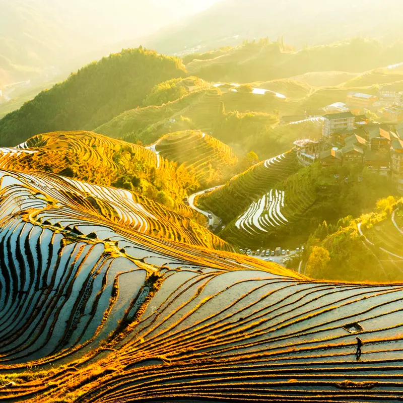 Terasering Sawah Longji yang berundak di lereng gunung sebelah utara Guilin