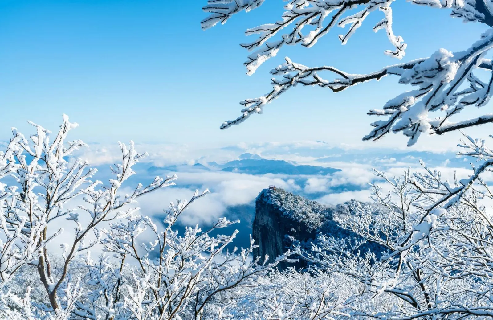 Embun beku dan salju di ranting membingkai dek pandang gunung di atas lautan awan pada hari cerah di musim dingin Zhangjiajie
